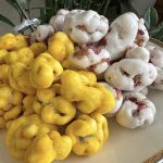 نقل گردویی گل محمدی و نقل گردویی زعفرونی ارومیه