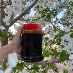 رب انار رسمی-شل