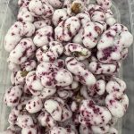 نقل گردویی گل محمدی ارومیه