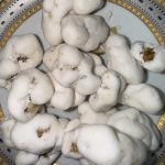 نقل گردویی ساده ارومیه